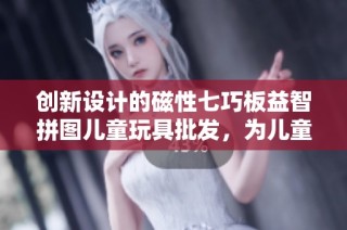 创新设计的磁性七巧板益智拼图儿童玩具批发，为儿童智力发展助力