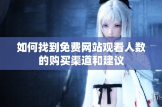 如何找到免费网站观看人数的购买渠道和建议