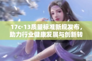 17c·13质量标准新规发布，助力行业健康发展与创新转型
