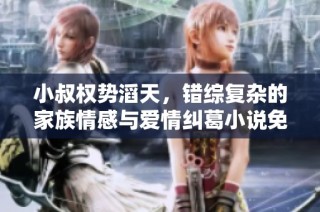 小叔权势滔天，错综复杂的家族情感与爱情纠葛小说免费阅读