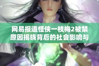 网易报道怪侠一枝梅2被禁原因揭晓背后的社会影响与文化反思