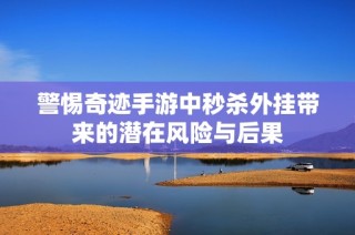 警惕奇迹手游中秒杀外挂带来的潜在风险与后果