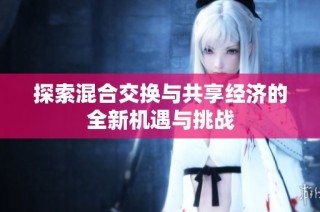 探索混合交换与共享经济的全新机遇与挑战
