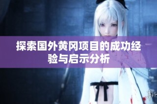 探索国外黄冈项目的成功经验与启示分析