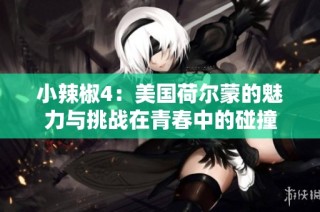 小辣椒4：美国荷尔蒙的魅力与挑战在青春中的碰撞