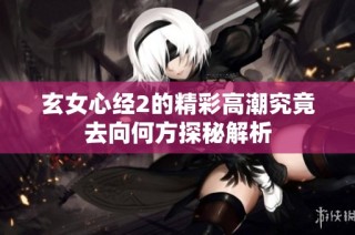 玄女心经2的精彩高潮究竟去向何方探秘解析