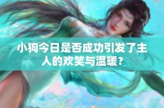 小狗今日是否成功引发了主人的欢笑与温暖？