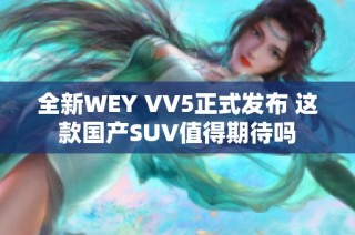 全新WEY VV5正式发布 这款国产SUV值得期待吗
