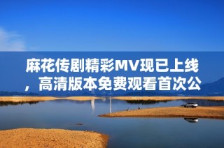 麻花传剧精彩MV现已上线，高清版本免费观看首次公开