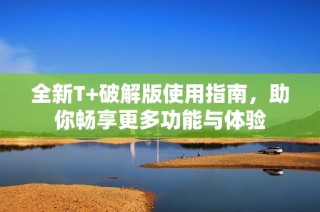 全新T+破解版使用指南，助你畅享更多功能与体验