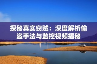 探秘真实窃贼：深度解析偷盗手法与监控视频揭秘