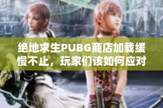 绝地求生PUBG商店加载缓慢不止，玩家们该如何应对这一问题呢