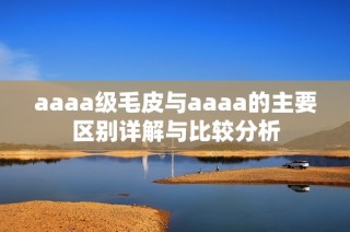 aaaa级毛皮与aaaa的主要区别详解与比较分析
