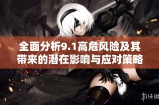 全面分析9.1高危风险及其带来的潜在影响与应对策略