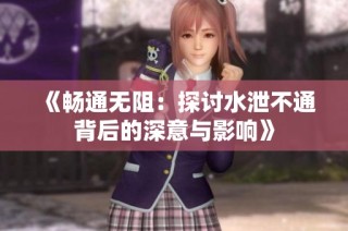 《畅通无阻：探讨水泄不通背后的深意与影响》