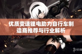 优质变速锂电助力自行车制造商推荐与行业解析