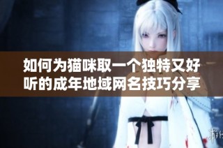 如何为猫咪取一个独特又好听的成年地域网名技巧分享