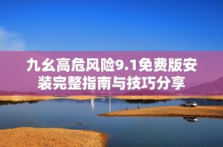 九幺高危风险9.1免费版安装完整指南与技巧分享
