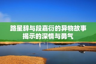 路星辞与段嘉衍的异物故事揭示的深情与勇气