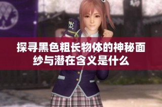 探寻黑色粗长物体的神秘面纱与潜在含义是什么