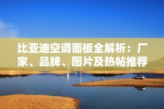 比亚迪空调面板全解析：厂家、品牌、图片及热帖推荐