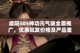 咸阳505神功元气袋全面推广，优惠批发价格及产品重磅上线