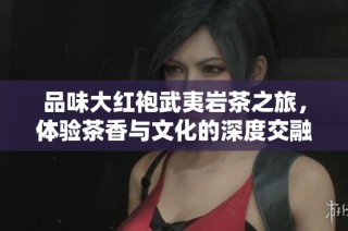 品味大红袍武夷岩茶之旅，体验茶香与文化的深度交融