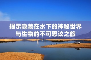 揭示隐藏在水下的神秘世界与生物的不可思议之旅