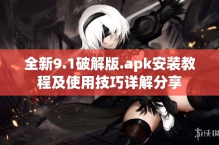 全新9.1破解版.apk安装教程及使用技巧详解分享