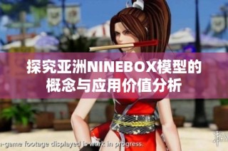 探究亚洲NINEBOX模型的概念与应用价值分析