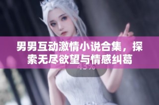 男男互动激情小说合集，探索无尽欲望与情感纠葛