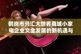 鹤岗市兴汇大世界商城小家电企业文全发展的新机遇与挑战分析