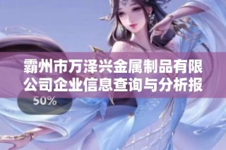 霸州市万泽兴金属制品有限公司企业信息查询与分析报告