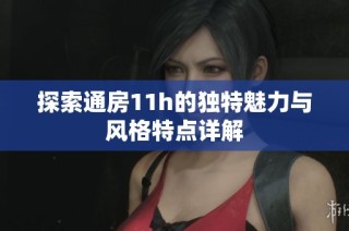 探索通房11h的独特魅力与风格特点详解