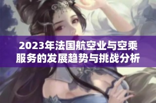 2023年法国航空业与空乘服务的发展趋势与挑战分析