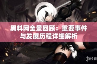 黑料网全景回顾：重要事件与发展历程详细解析