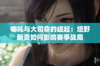 哪吒与大司命的崛起：坦野新贵如何影响赛季战局