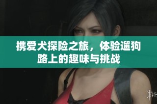 携爱犬探险之旅，体验遛狗路上的趣味与挑战