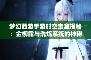 梦幻西游手游时空宝盒揭秘：金柳露与洗炼系统的神秘液体探索