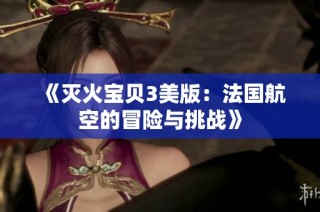 《灭火宝贝3美版：法国航空的冒险与挑战》