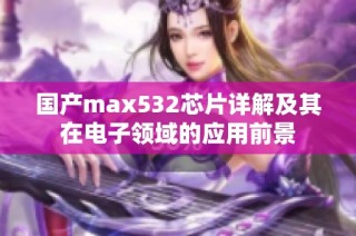 国产max532芯片详解及其在电子领域的应用前景