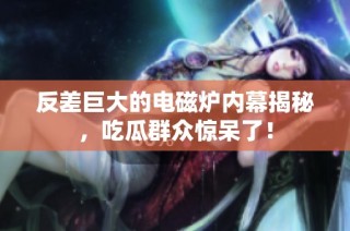 反差巨大的电磁炉内幕揭秘，吃瓜群众惊呆了！