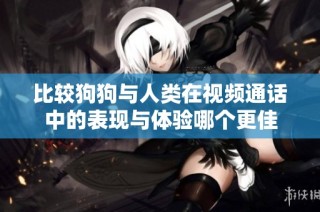 比较狗狗与人类在视频通话中的表现与体验哪个更佳