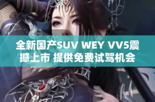 全新国产SUV WEY VV5震撼上市 提供免费试驾机会