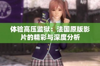 体验高压监狱：法国原版影片的精彩与深度分析