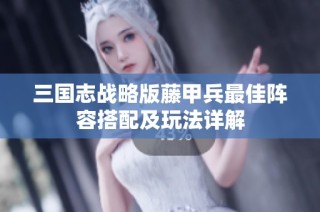 三国志战略版藤甲兵最佳阵容搭配及玩法详解