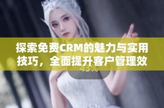 探索免费CRM的魅力与实用技巧，全面提升客户管理效率
