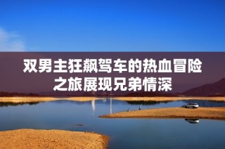 双男主狂飙驾车的热血冒险之旅展现兄弟情深