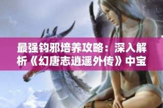 最强钧邪培养攻略：深入解析《幻唐志逍遥外传》中宝宝打造秘诀