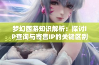 梦幻西游知识解析：探讨IP查询与寄售IP的关键区别与处理方法